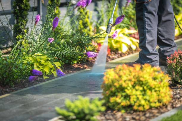 Best Winterizing Services  in Englewood, OH